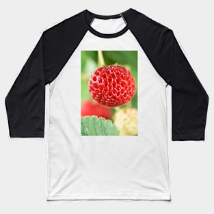 Fragaria x ananassa &#39;Framberry&#39; Strawberry Baseball T-Shirt